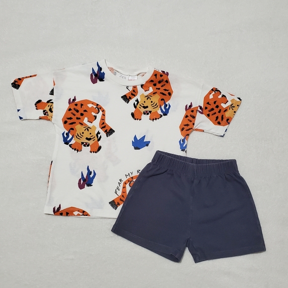 Zara Other - ♦️3/25♦️ZARA TODDLER MATCHING SET SIZE 2-3 YEARS